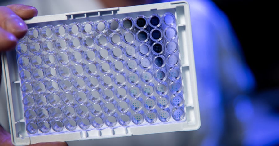 Multiplex MicroArray